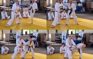 Loic exécute un Bunkai (mise en application d'un kata)