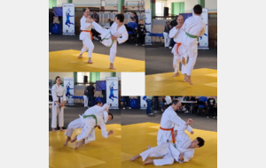 Combat souple Père-Fils