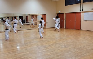 Le travail devant les miroirs permet de voir ses erreurs et d'améliorer ses positions