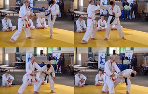 Loic exécute un Bunkai (mise en application d'un kata)