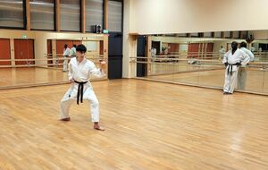 Encore beaucoup de travail… mais peut-être bientôt une nouvelle ceinture noire issue du club