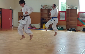 et Kata / Bunkai en famille.