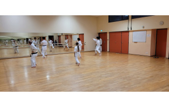 Le travail devant les miroirs permet de voir ses erreurs et d'améliorer ses positions