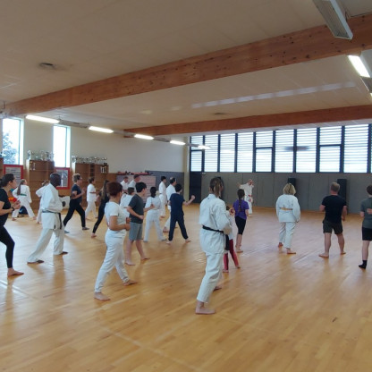 Stage découverte du Karaté - Pratique du Khion, travail des techniques en ligne